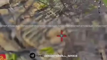 �������� �����: ����� �������� � �������� �� ��������� �����������