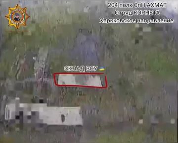 ���� ���������: ����������� ������� � ������ ���������� ���� ����������