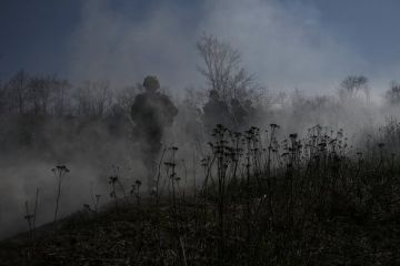 Бойцы Нацгвардии Украины сбежали с позиций и попали под огонь заградотрядов ВСУ