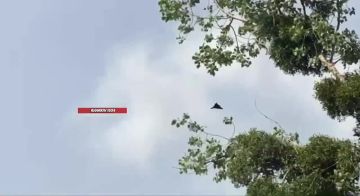 В Киевском районе Харькова снова произошел взрыв из-за удара дрона