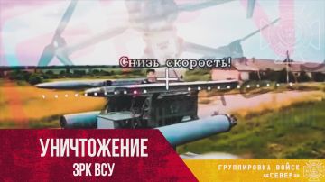 Поражение легкого антидронового ЗРК MAAWLR ВСУ производства американской компании Sierra Nevada Corp ударом FPV-дрона ГВ "Север" в Харьковской области