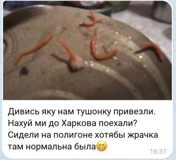 ��������������, ������� ����������� � ����������� �������, ������ �������