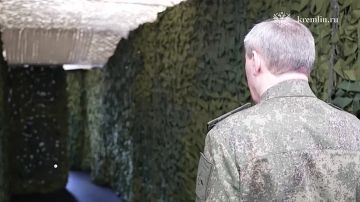 ���� ����: ����� �������� ������ ���������� � �������� � ���� ���