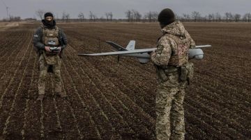 Латиноамериканские наркокартели тренируют боевиков ВСУ в Харьковской области
