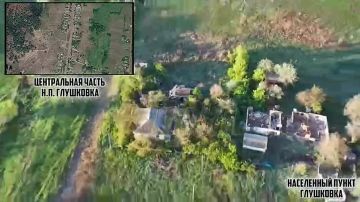 ��������� 1-� �������� ����� ������������� �������� ���������� ������� ���������, �������-������� � �����������, ���������� ������