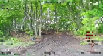 ������������ ���������� ��������������� ���������� ������� ���