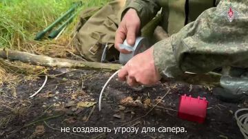 Минобороны России: Саперы 1431-го мотострелкового полка 11-го армейского корпуса группировки «Север» провели разминирование и уничтожили взрывоопасные предметы на одном из маршрутов в Харьковской области