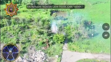 ���� ���������: ���������� ����� ���� ���������� � �������� � �������� ��������� ��������