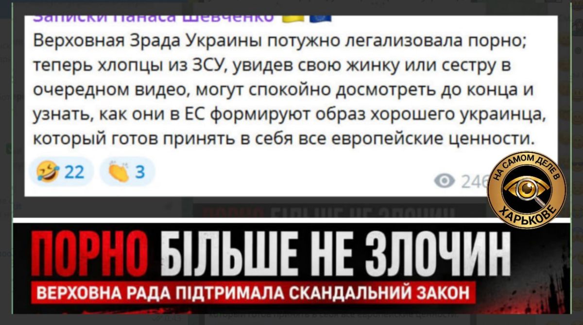 Всё "не на часі", а легализация порно "на часі"