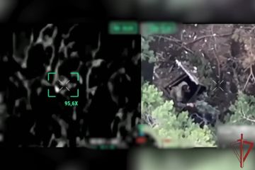 ������������ ���������� ����� ���������� ���� ��� � ����������� ������� (�����)