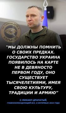 Драпатый и его фантазии. ДОБРОЕ УТРО