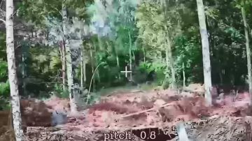 ����������� ���������� ����������� ������� �������-� �� ����� ������� � ����������� ��������