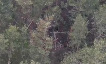 ��������� �����������. ��������� �������� � ����� ���� ���������� � ������ ������� � ������ �.�. �����������