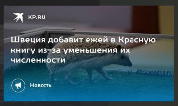 � ��� ��� ��������: � ������ ���� ����, � ������
