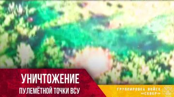 ����� �� ������� ������: "�����" ���������� ��������� ������ ����������