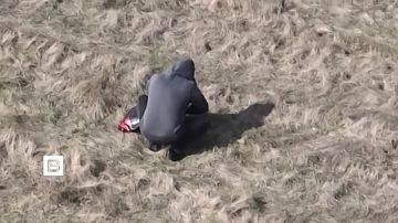 ��� �������� ����� ���������� � ������� ������ ���, ����������� ������ � ��������� ������ ���������� ������-����������� ������������� ����������� �������