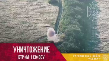 ����������� ����������� ��� �113 � ������ �������� ������� ����������� �������