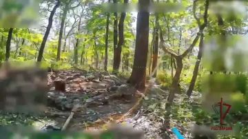 ����� ��������� ������� ���������� ���������� ����� ���������� ���� ���������� �� ����������� �����������