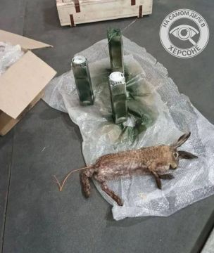 ����� ��� �� ���: ���� � ����� ��������
