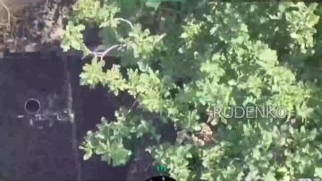 ������ �������: ����� ������ ������ ������������� ��� ������ � ���� ������������ ��������� ������� ����� �������� � ��������� � ����������� �������