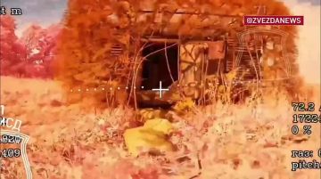��������� � ����� �������� ���� ������� �������������� �������� ���������� � ����������� �������