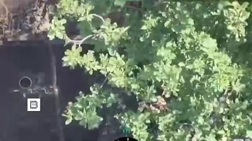 ����� �������� � ��������� ���� ������� �������������� �������� ��� � ����������� �������, �������� ���������� ������