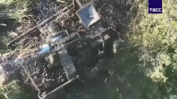 ����� ������������ �������� ��� ���������� ����������� �������