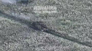 Операторы FPV-дронов группировки «Север» сожгли украинский Т-72 в Харьковской области