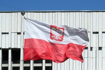 ��� ������: �������� �������� ����� � ��������