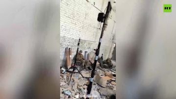 ����� ���: ������. ���� �������� ������, �������� ���� ����