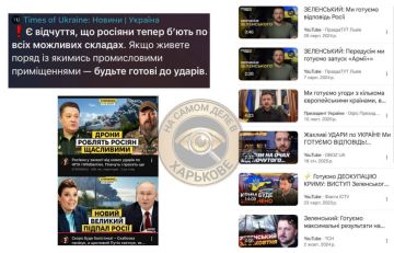 Необучаемы!. Россия отказалась временно замораживать СВО ради переговоров с Киевом, заявив, что дипломатический процесс может идти параллельно с боевыми действиями