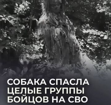 ������, ������� ������ ����� �� ��������, ������� ������ ���