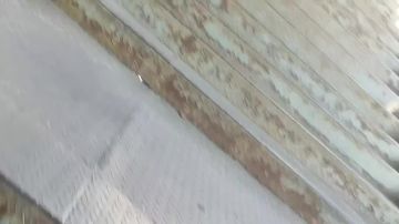 ������� ����������� ������� ��������� ������