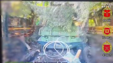 Когда не научили играть в прятки