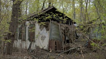 ������ ������� ������ � ������: ���� �������� ������� ������ �� ������ �������