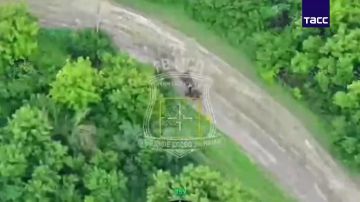 ����� ������������ �������� ��� ��������� � ����������� �������