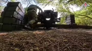 �� �� ����� �������� �������� � ����������� �������, �������� ����������