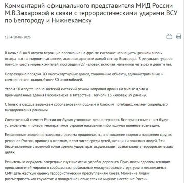 Все причастные к ударам ВСУ по Белгороду и Нижнекамску будут установлены — они понесут неотвратимое суровое наказание, заявили в МИД России