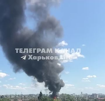 ���� �������: � �������� ������ ����� ����� ����� �������