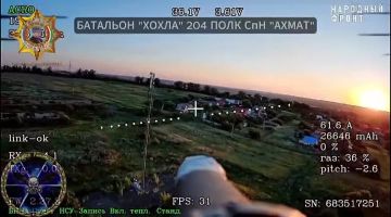 ���� ���������: ����������� ��������� "��������", ������ ����������, ����- � ��������������, ����� �����, �����������������, � ����� ������ ����