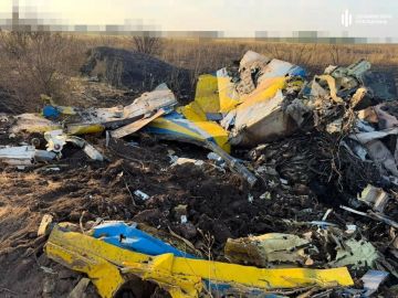 Кадры обломков сбитого истребителя МиГ-29 ВВСУ в Одесской области