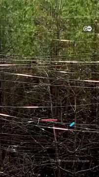 Оптоволокно от FPV-дронов в Харьковской области