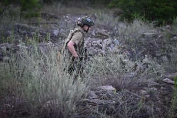 �������: �� �� ������ ������������ � ���������� ����������� �������