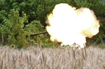 Сводка СВО за 13 август. Штурмовики ВС РФ 13 августа освободили в ДНР населенный пункт Петровка