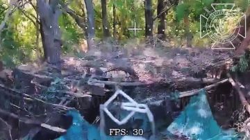 ��� � ���������� ������: ���������� ��������� "��������" ���