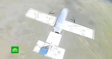 ����� ������� � ������� ������� �������� ���� �� ��� �� ����������� �����������