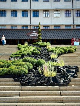 Поросли уж давно все дорожки в саду
