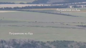 ����� ������ �� �������� ���������� � ������ ������, ����������� �������