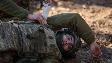 ТАСС: группа спецназовцев ВСУ понесла потери возле Малой Волчьей