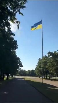 ������� � ����� �����-���������� ������� ������ ������� ������������